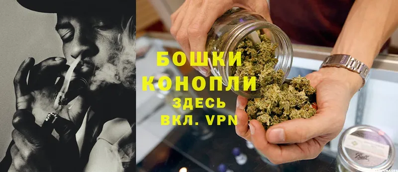 где купить наркоту  Алексеевка  Бошки марихуана OG Kush 